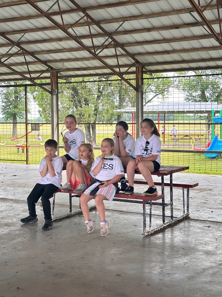 field day